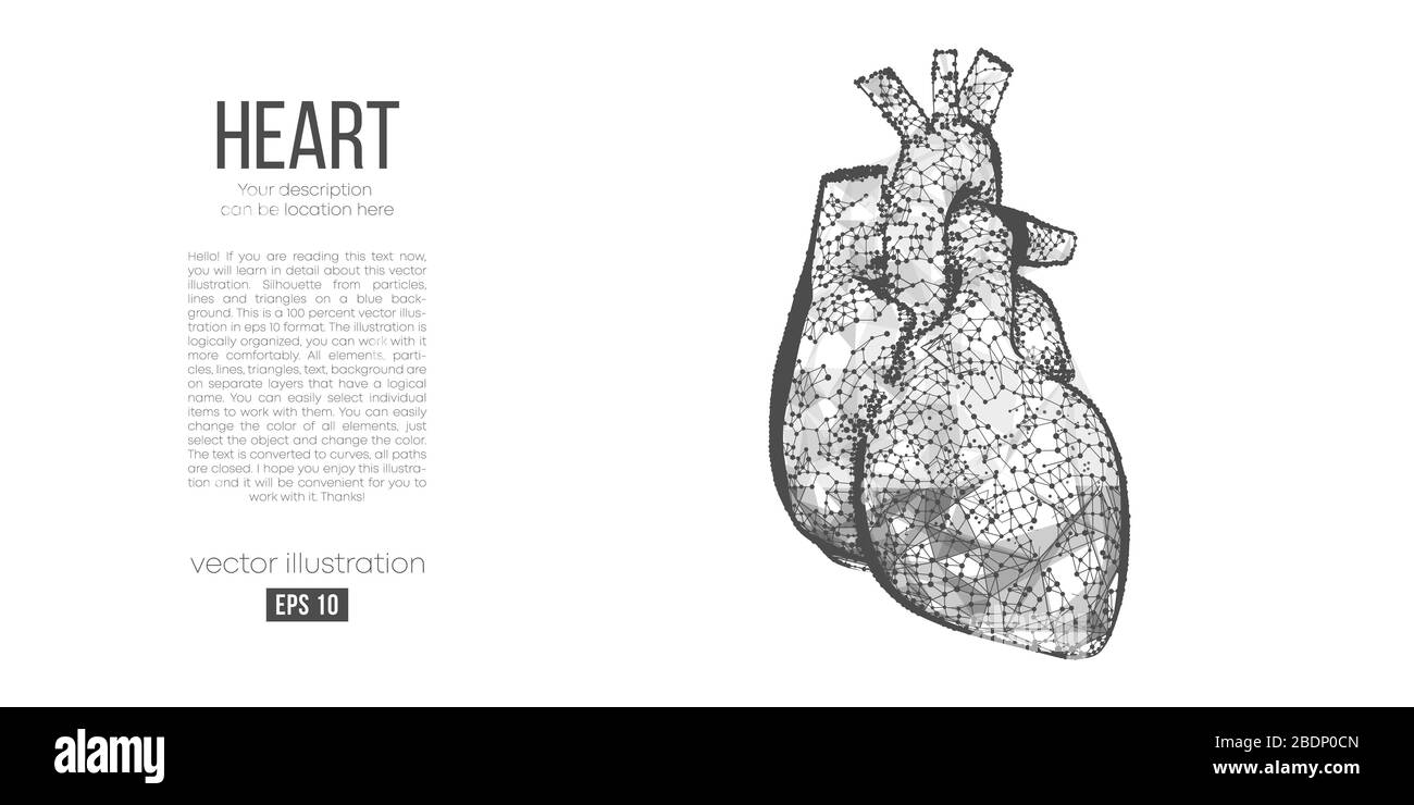 Abstrakte Silhouette des polygonalen Herzorgans. Scannen, erforschen und diagnostizieren des menschlichen Herzens Stock Vektor