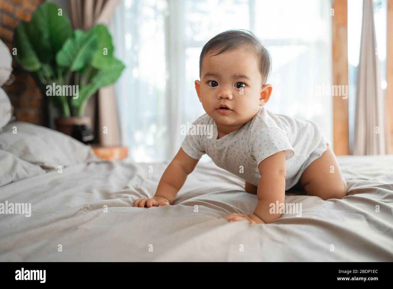 Krabbeln Auf Der Haut Im Bett www.alamy.de