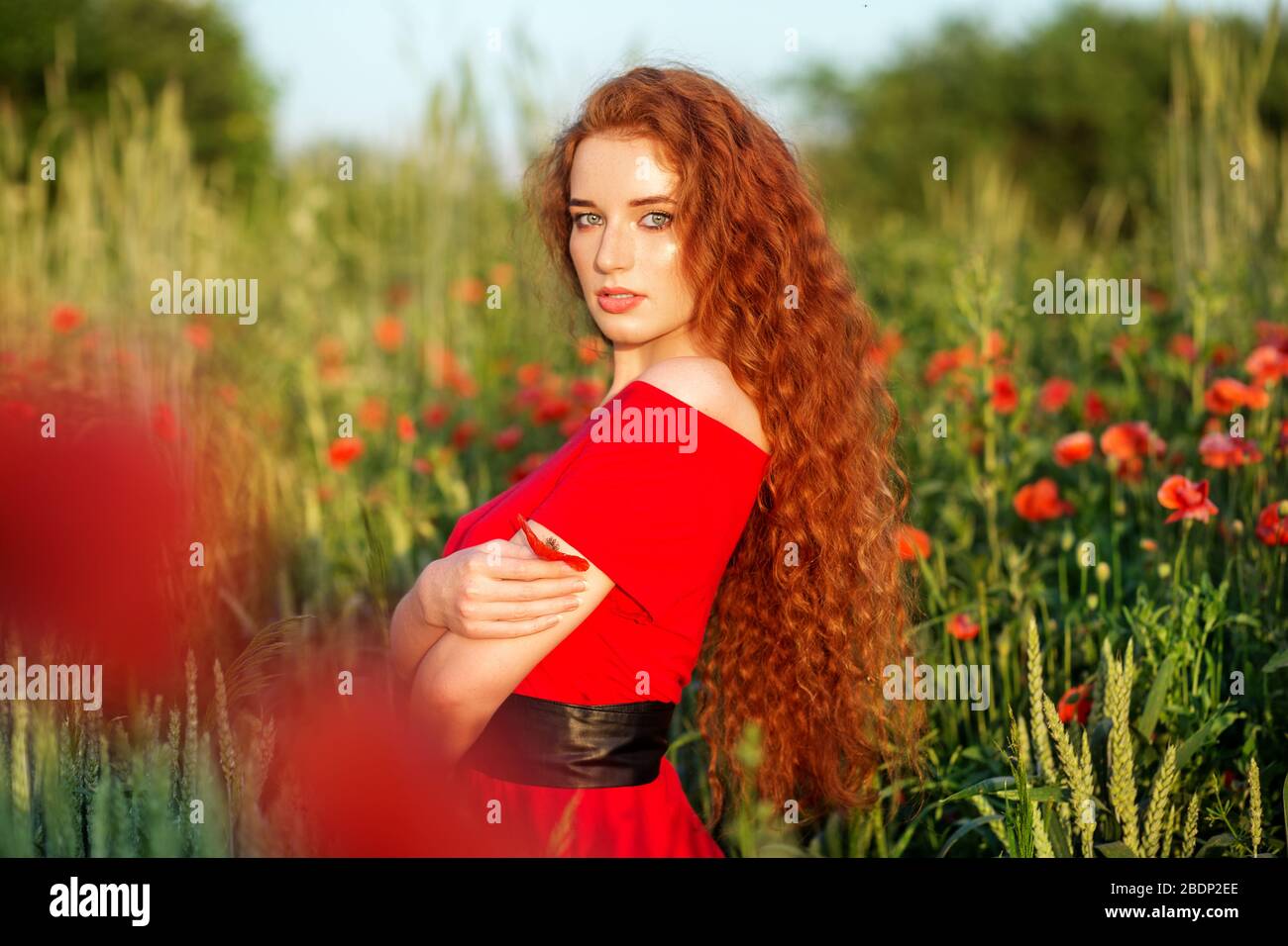 Schönes Mädchen mit sehr langen roten Haaren. Mohnfeld. Rotes Kleid.  Wunderschönes Make-up. Das Konzept von Gesundheit, Natur, Kosmetik und  Pflege Stockfotografie - Alamy