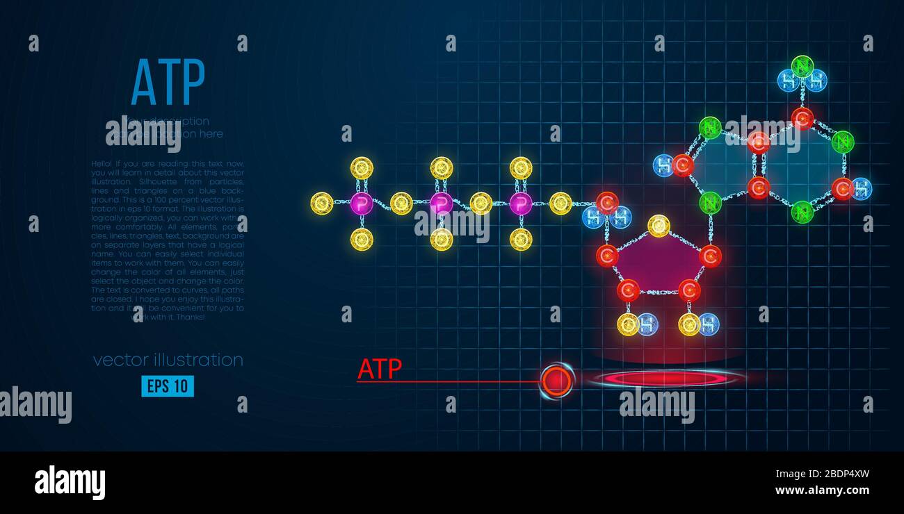 Abstrakte Silhouette des polygonalen Moleküls ATP-Säure auf blauem Hintergrund. Skelett, organische Formel. Holografischer Vektor Stock Vektor