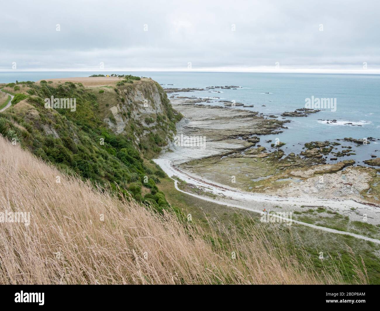 Das felsige Ufer und die Küste und Landschaft am Point Kean Kaikoura Neuseeland an einem grauen Tag. Stockfoto