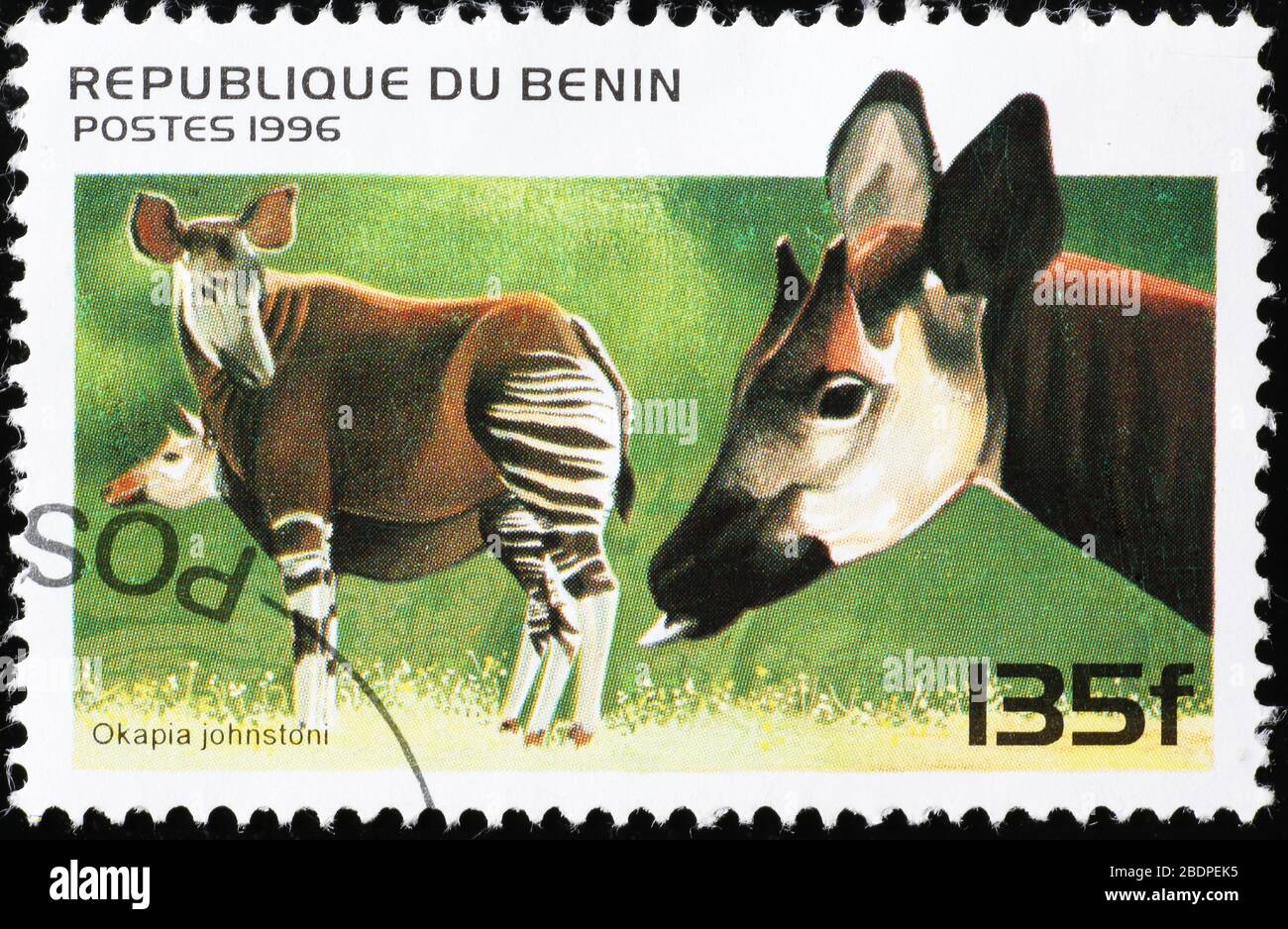 Zwei Okapies auf Briefmarke von Benin Stockfoto