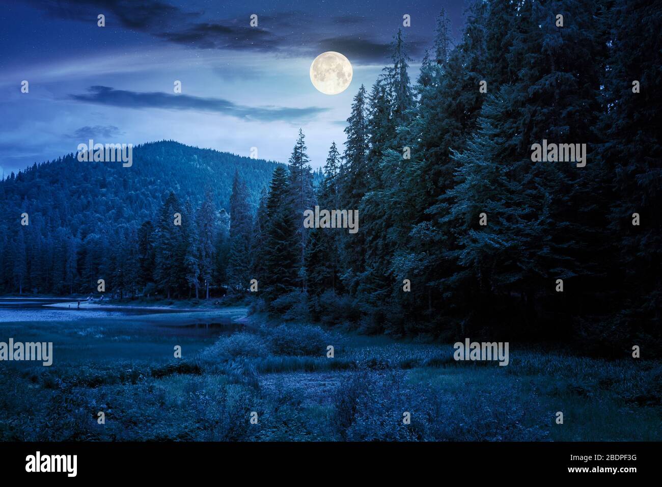 sommerlandschaft des sees in der Nacht. Schöne Landschaft im Wald in den Bergen bei Vollmondlicht Stockfoto