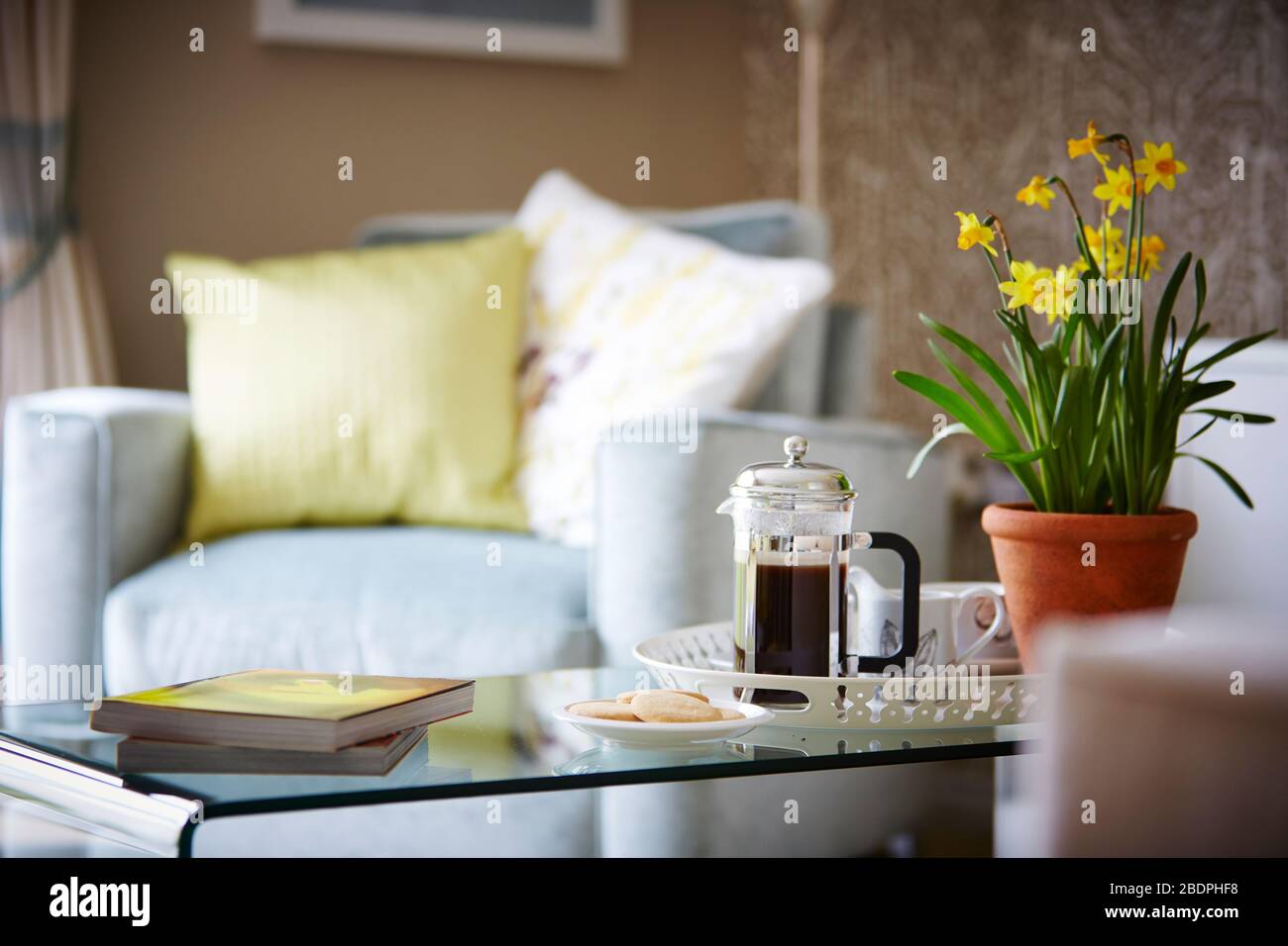 Das Frühstück wird auf einem Couchtisch mit einer Blumenpflanze im Wohnzimmer serviert Stockfoto