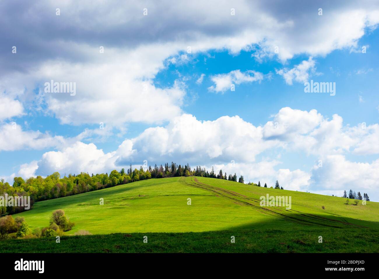 Wunderbares sonniges Wetter mit Wolken über dem Hügel. Grünes Gras auf der Wiese in gedappelten Lichtse, Wald in der Ferne. Tolle Naturlandschaft von carpat Stockfoto