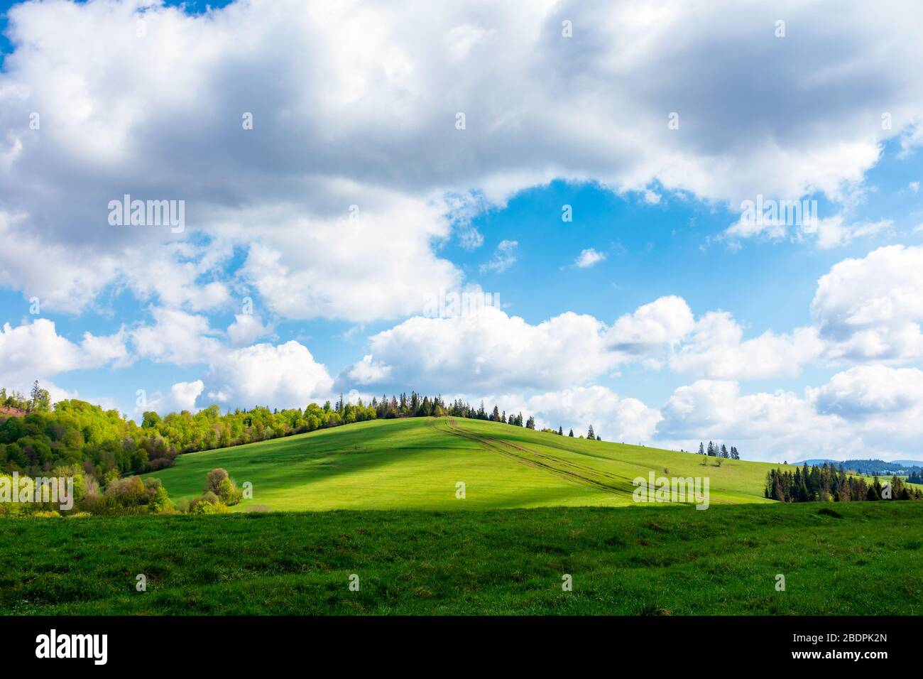 Wunderbares sonniges Wetter mit Wolken über dem Hügel. Grünes Gras auf der Wiese in gedappelten Lichtse, Wald in der Ferne. Tolle Naturlandschaft von carpat Stockfoto