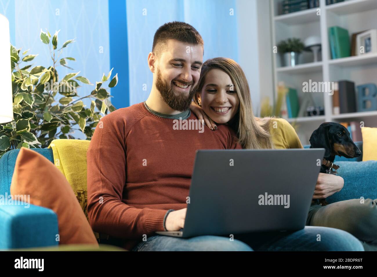 Fröhliches junges Paar sitzt mit seinem Hund zu Hause auf dem Sofa und verbindet sich online mit einem Laptop, einer Technologie und einem Lifestyle-Konzept Stockfoto