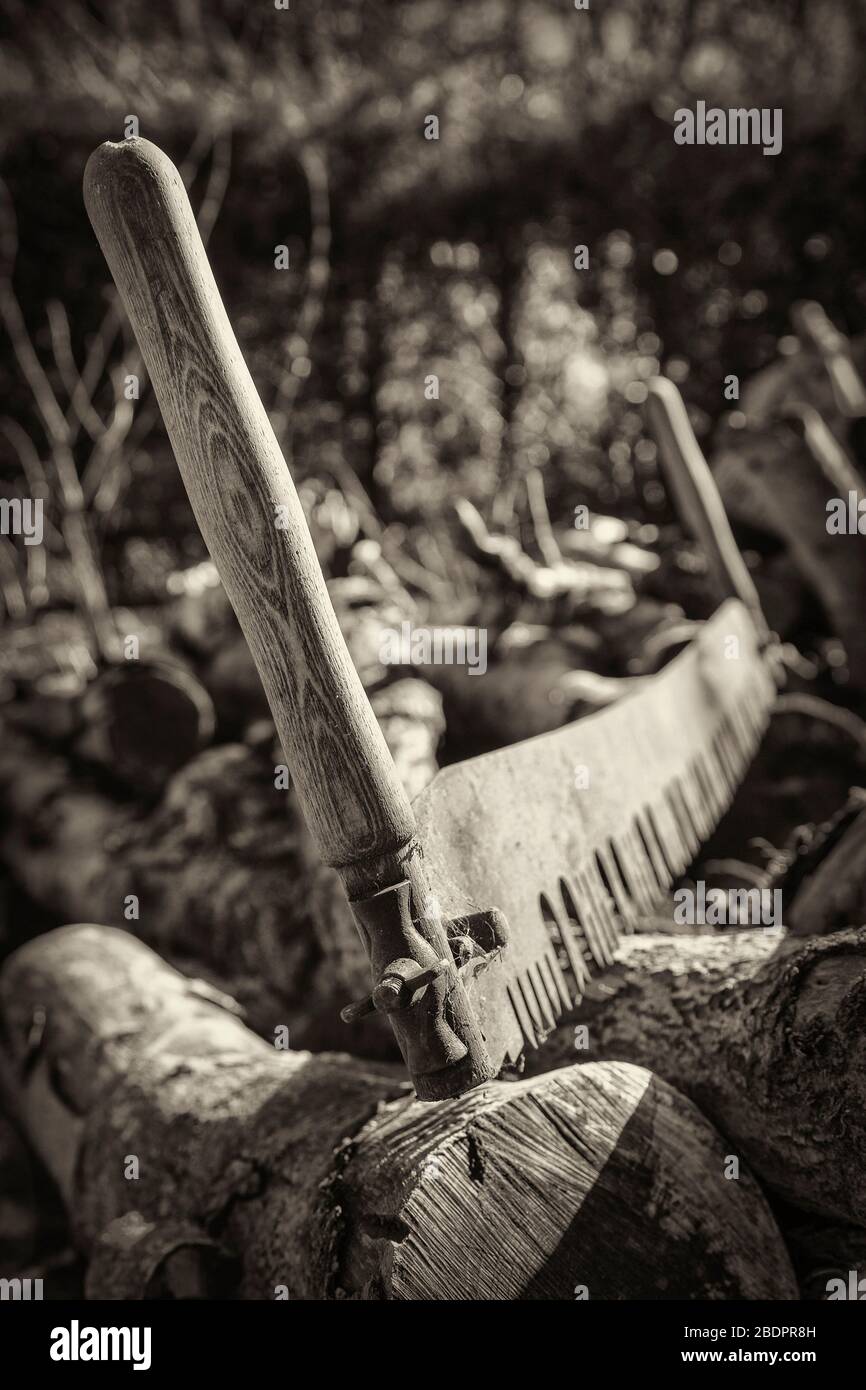 Schwarz-Weiß-Aufnahme eines altmodischen rostigen zwei Mann sah sich an einem sonnigen Tag gegen einen großen Haufen von Baumstämmen lehnen Stockfoto
