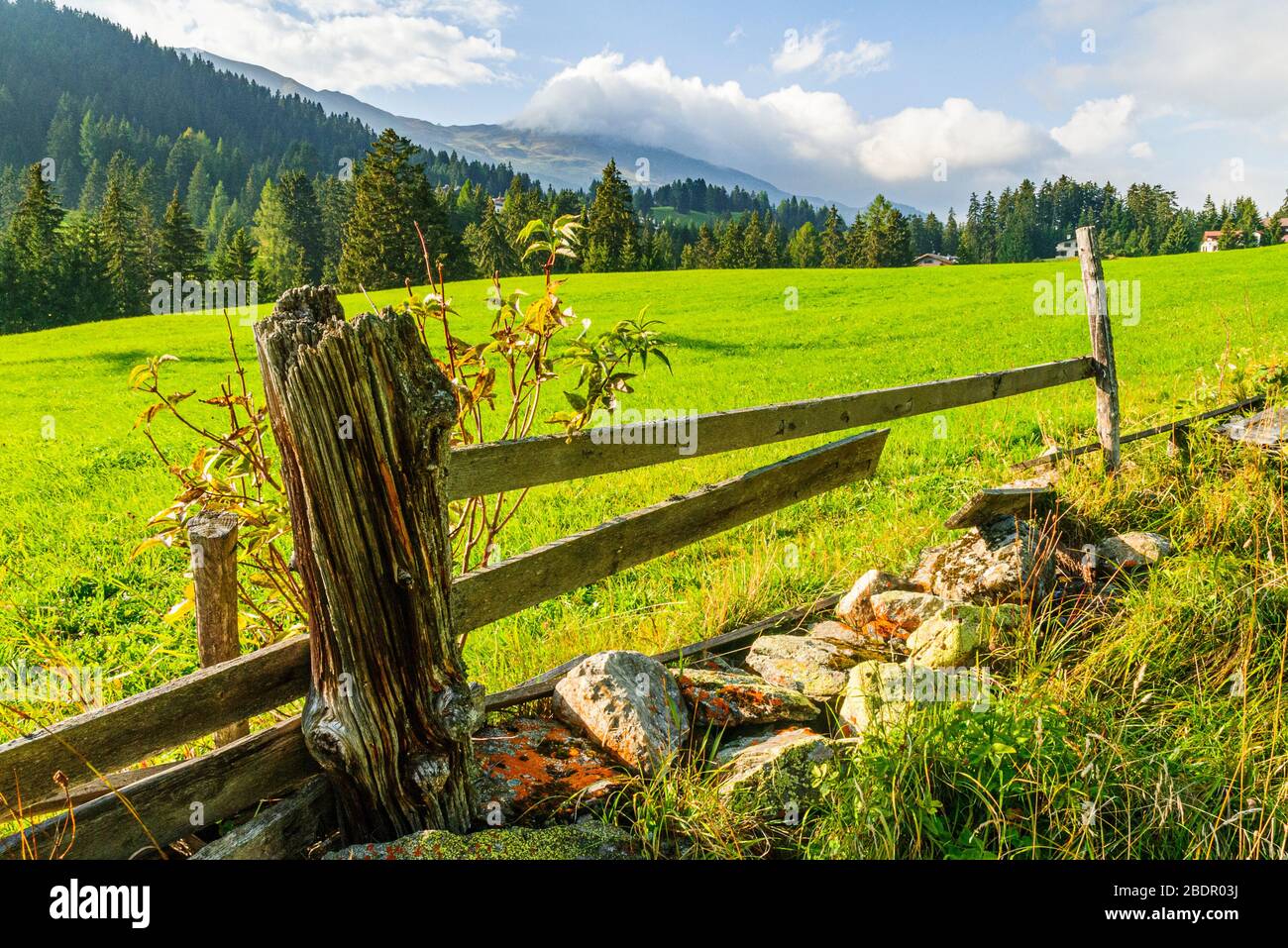 Feldgrenze bei Lenzerheide Graubünden Schweiz Stockfoto
