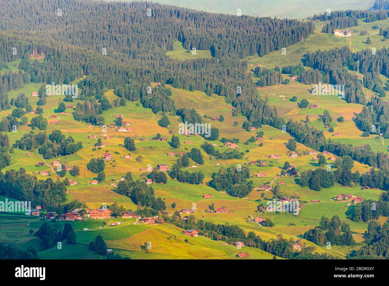 Pisten oberhalb von Grindelwald Schweiz Stockfoto