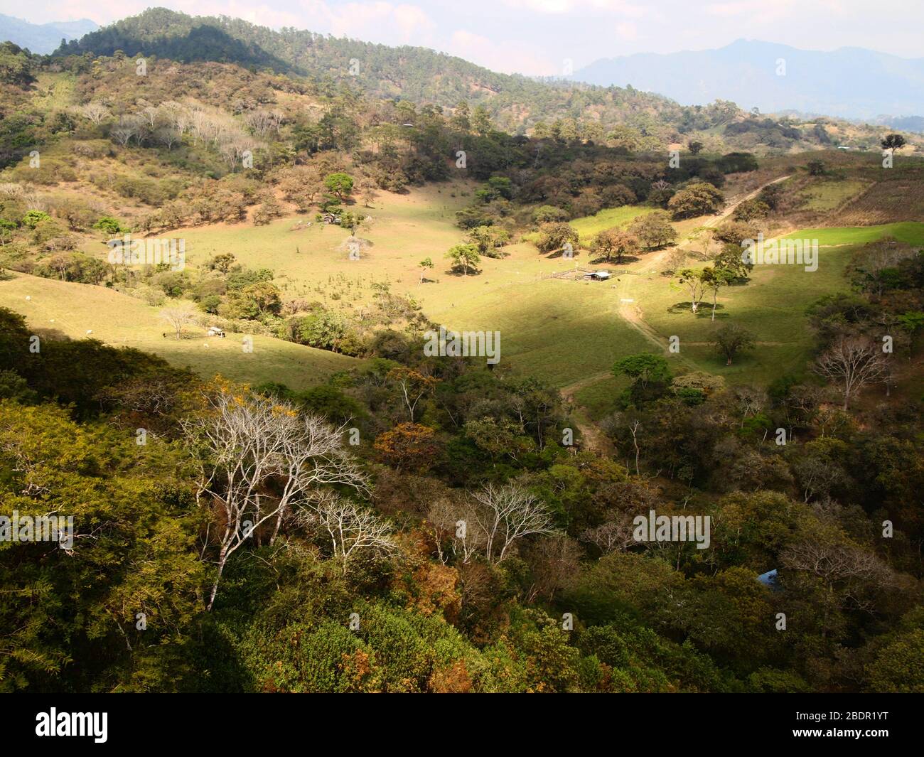 Felder und Wälder in der Nähe der archäologischen Stätte Toniná in Chiapas, im Süden Mexikos Stockfoto