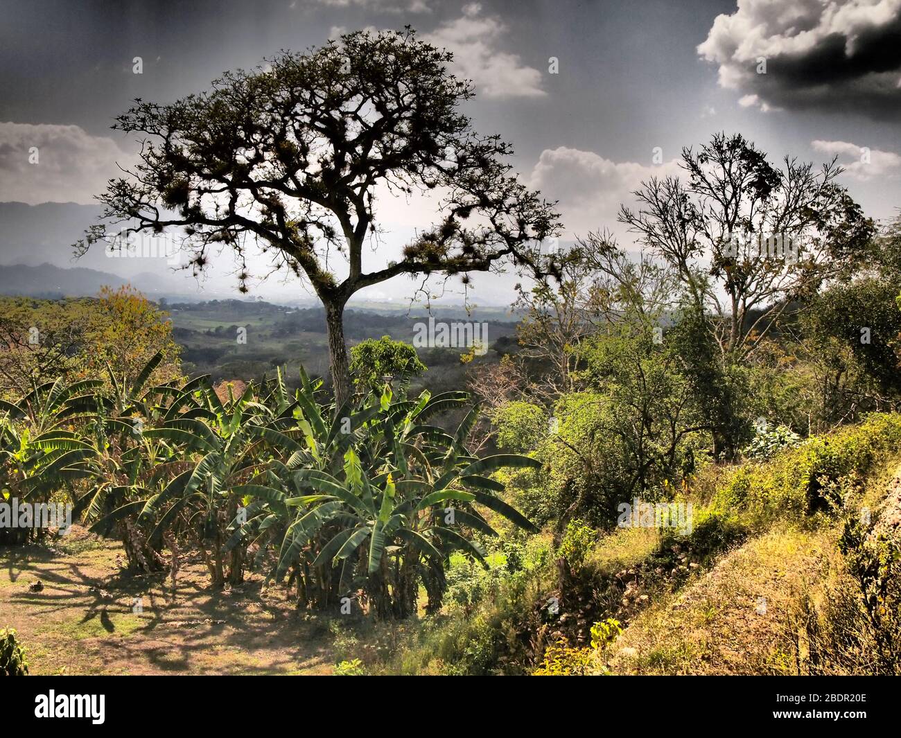 Felder und Wälder in der Nähe der archäologischen Stätte Toniná in Chiapas, im Süden Mexikos Stockfoto