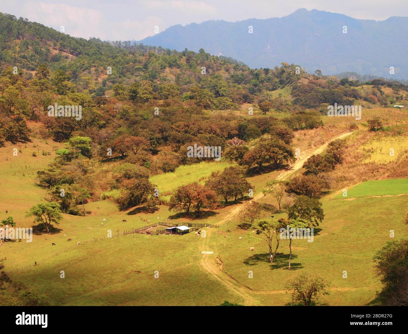 Felder und Wälder in der Nähe der archäologischen Stätte Toniná in Chiapas, im Süden Mexikos Stockfoto