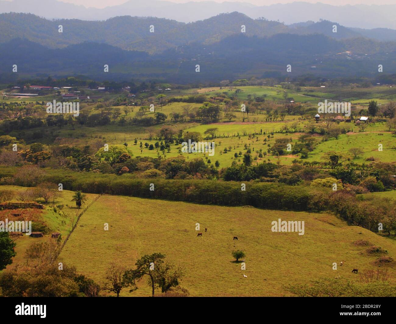 Felder und Wälder in der Nähe der archäologischen Stätte Toniná in Chiapas, im Süden Mexikos Stockfoto