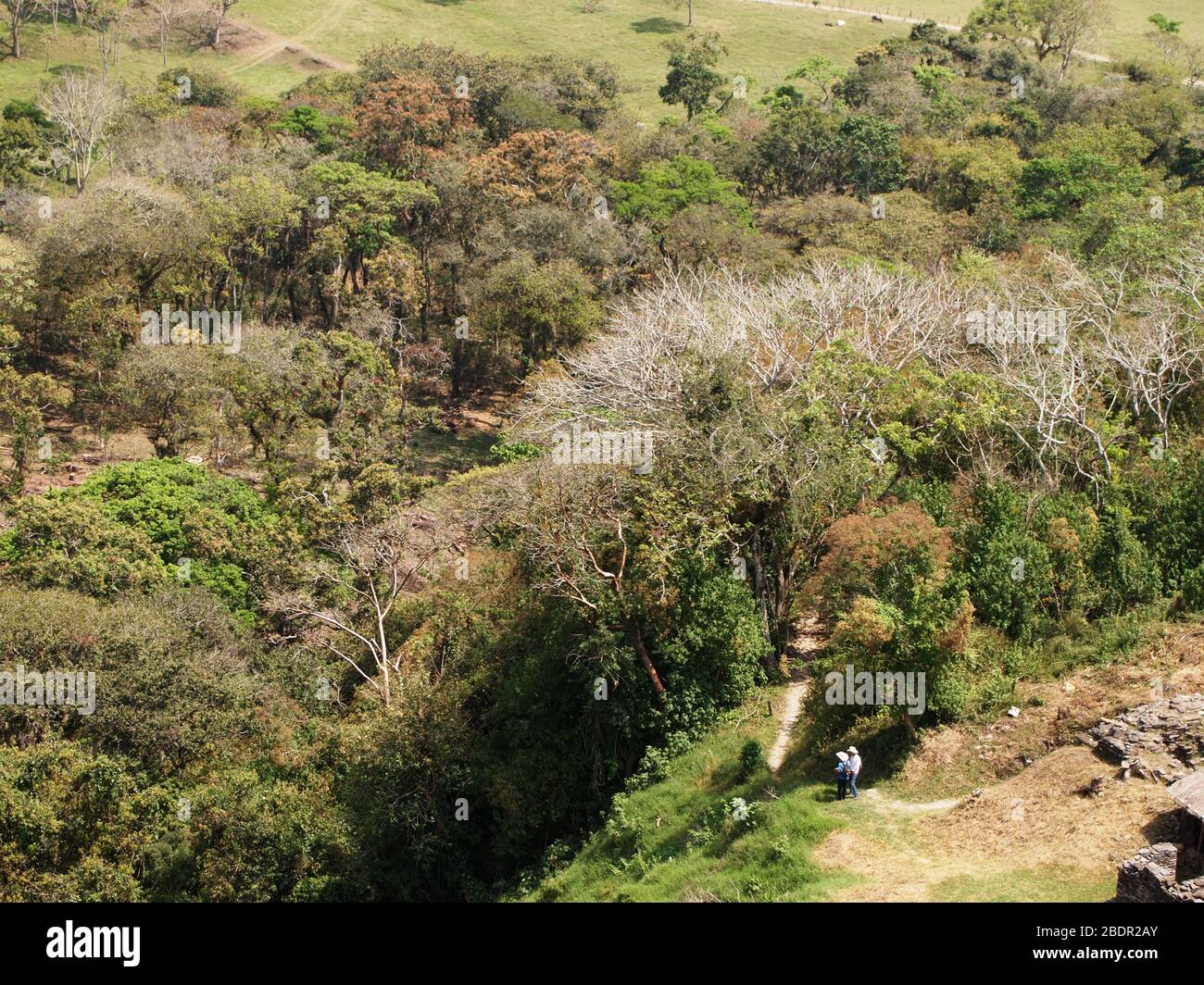 Felder und Wälder in der Nähe der archäologischen Stätte Toniná in Chiapas, im Süden Mexikos Stockfoto