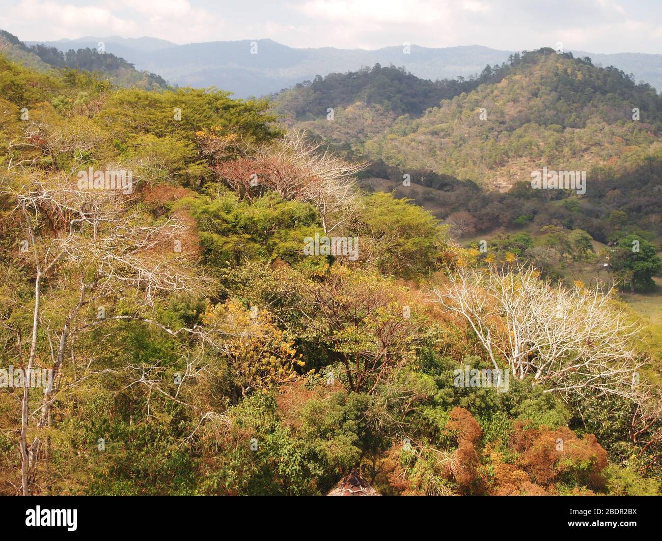 Felder und Wälder in der Nähe der archäologischen Stätte Toniná in Chiapas, im Süden Mexikos Stockfoto