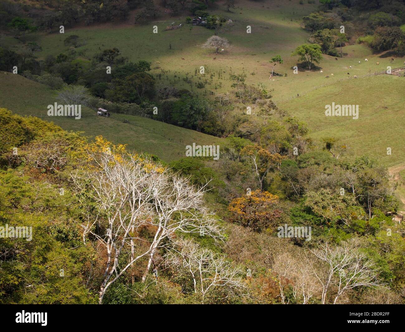 Felder und Wälder in der Nähe der archäologischen Stätte Toniná in Chiapas, im Süden Mexikos Stockfoto