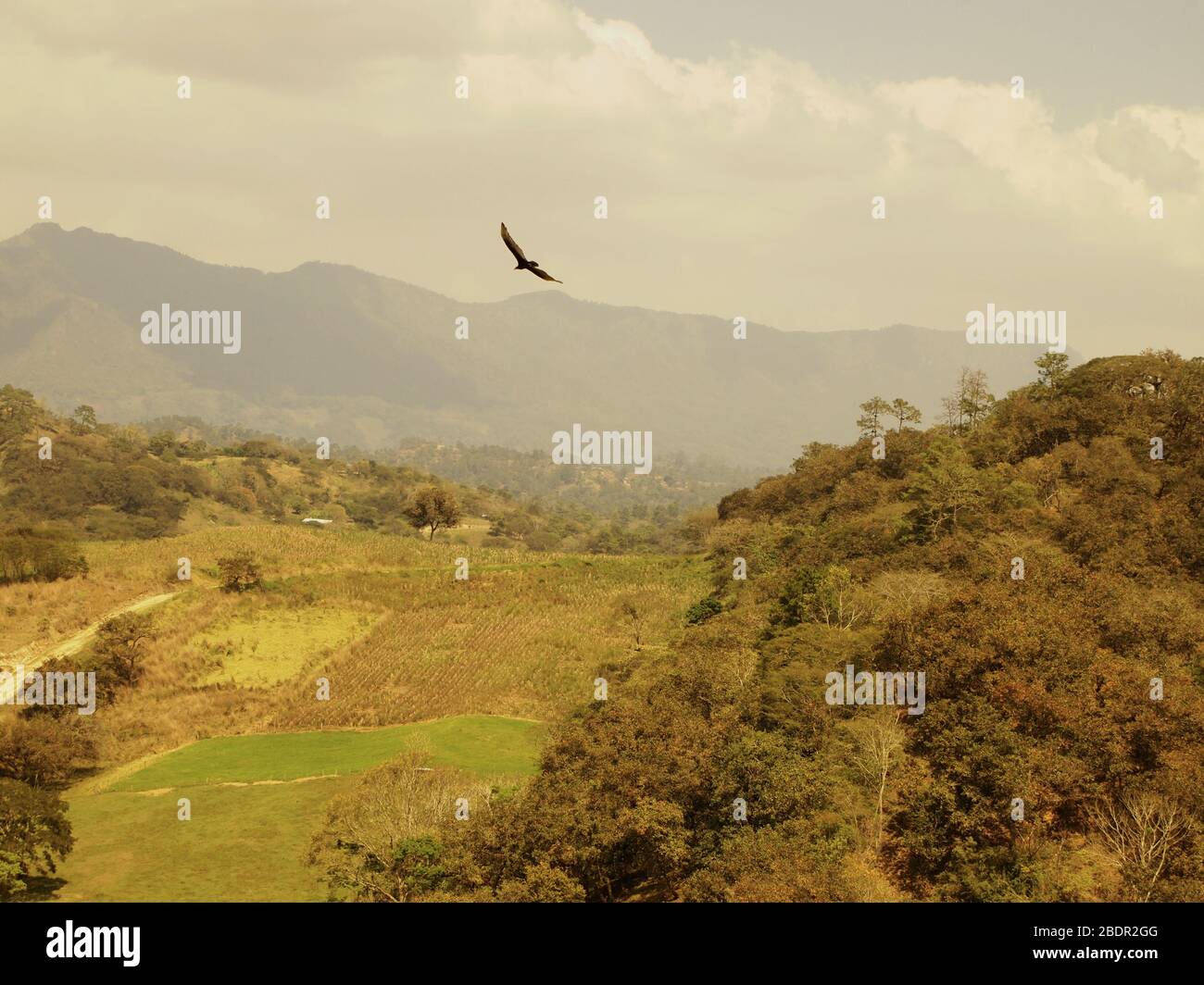 Felder und Wälder in der Nähe der archäologischen Stätte Toniná in Chiapas, im Süden Mexikos Stockfoto