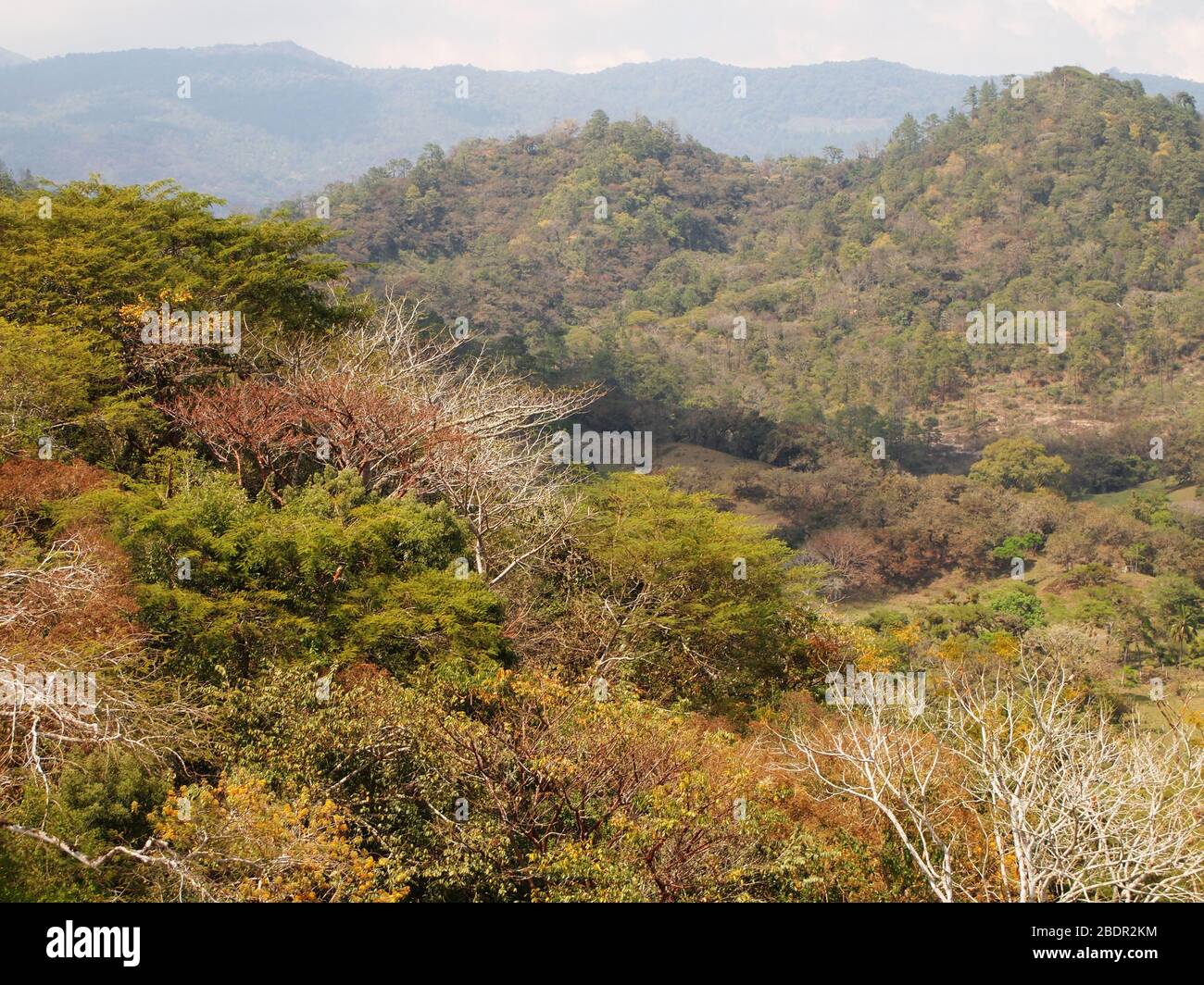Felder und Wälder in der Nähe der archäologischen Stätte Toniná in Chiapas, im Süden Mexikos Stockfoto