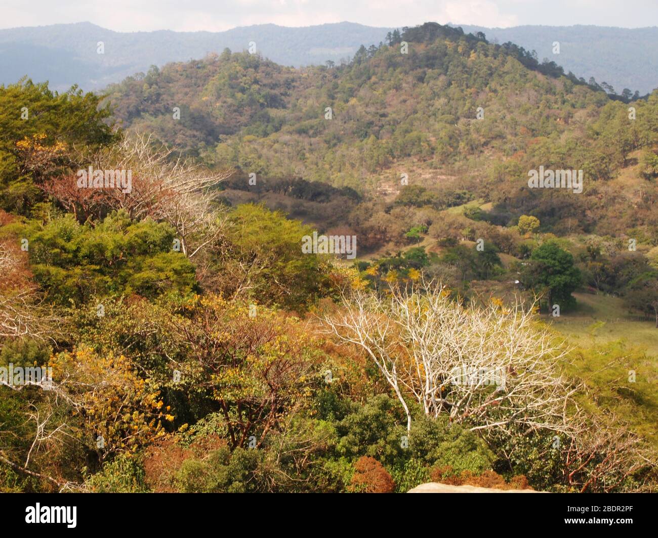 Felder und Wälder in der Nähe der archäologischen Stätte Toniná in Chiapas, im Süden Mexikos Stockfoto