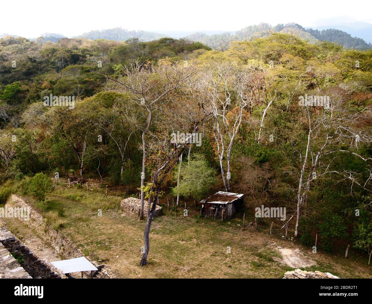 Felder und Wälder in der Nähe der archäologischen Stätte Toniná in Chiapas, im Süden Mexikos Stockfoto