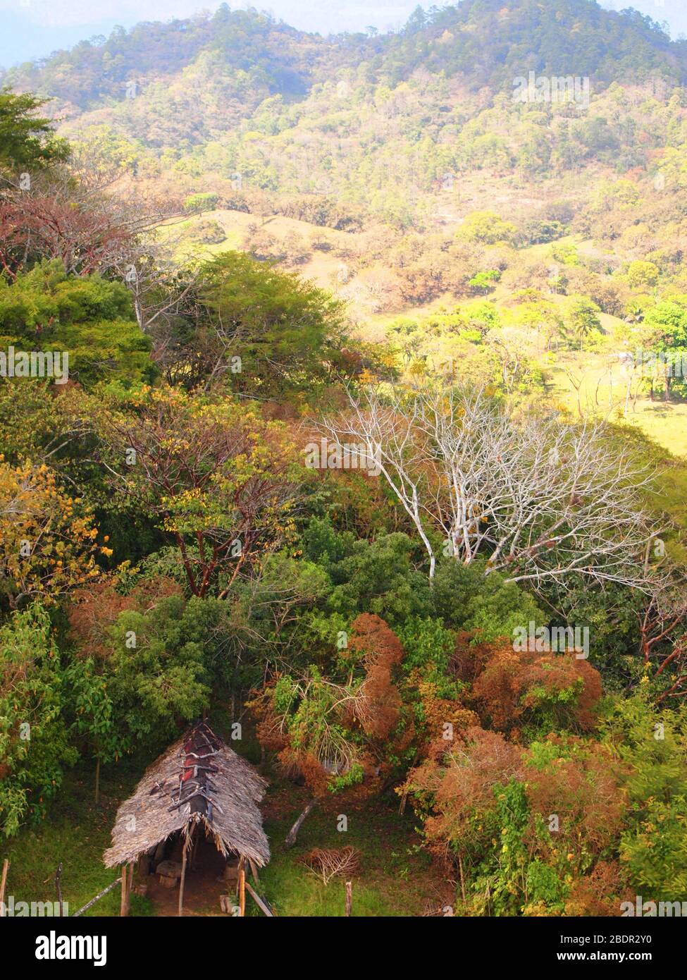 Felder und Wälder in der Nähe der archäologischen Stätte Toniná in Chiapas, im Süden Mexikos Stockfoto