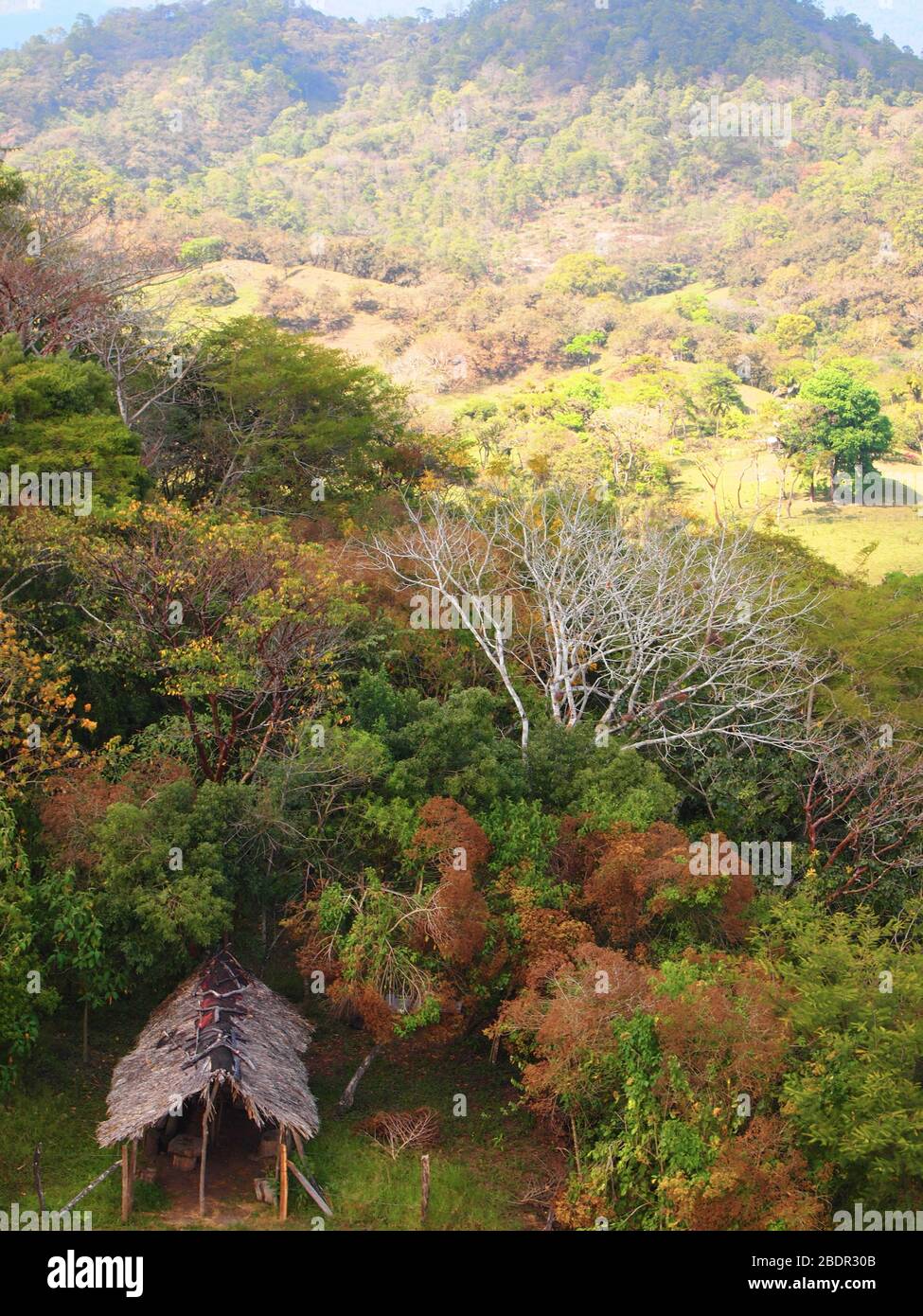 Felder und Wälder in der Nähe der archäologischen Stätte Toniná in Chiapas, im Süden Mexikos Stockfoto