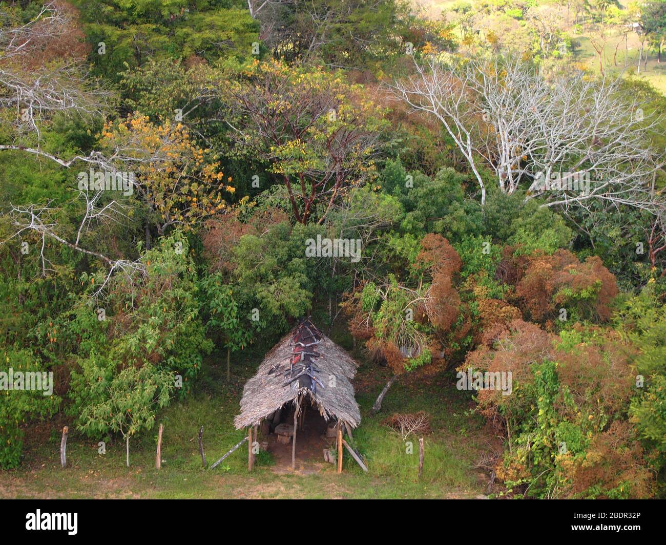 Felder und Wälder in der Nähe der archäologischen Stätte Toniná in Chiapas, im Süden Mexikos Stockfoto