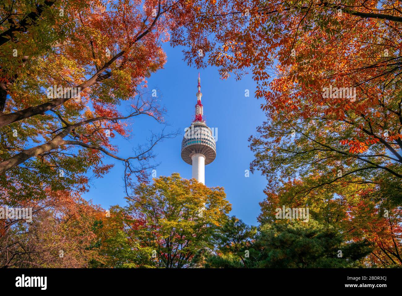Seoul Tower und bunte Blätter in Seoul, Korea Stockfoto
