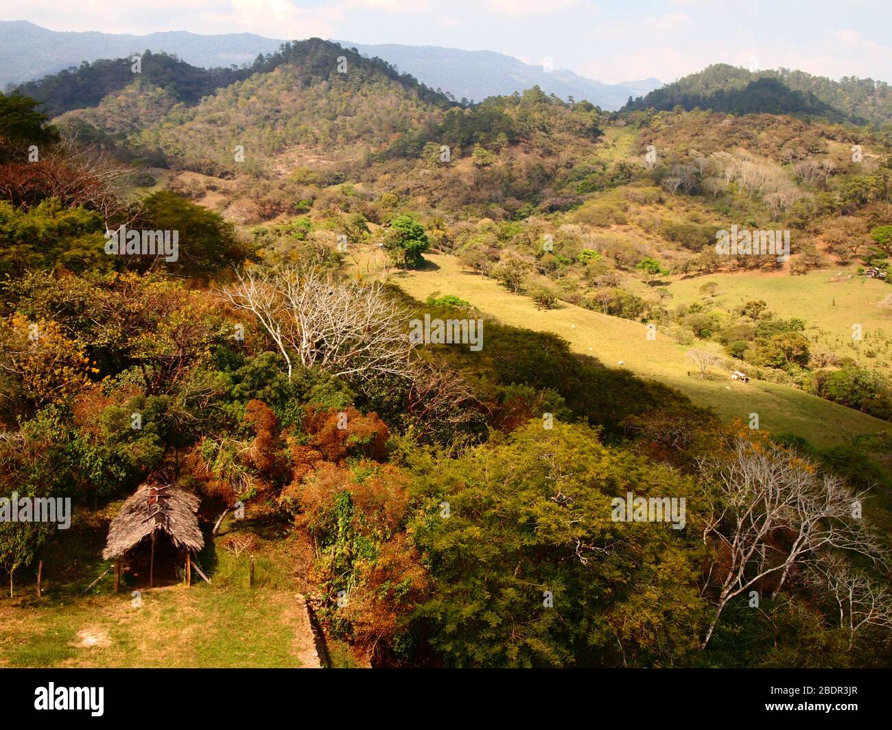 Tropische submontane Wälder in der Nähe der archäologischen Stätte Toniná in Chiapas, im Süden Mexikos Stockfoto