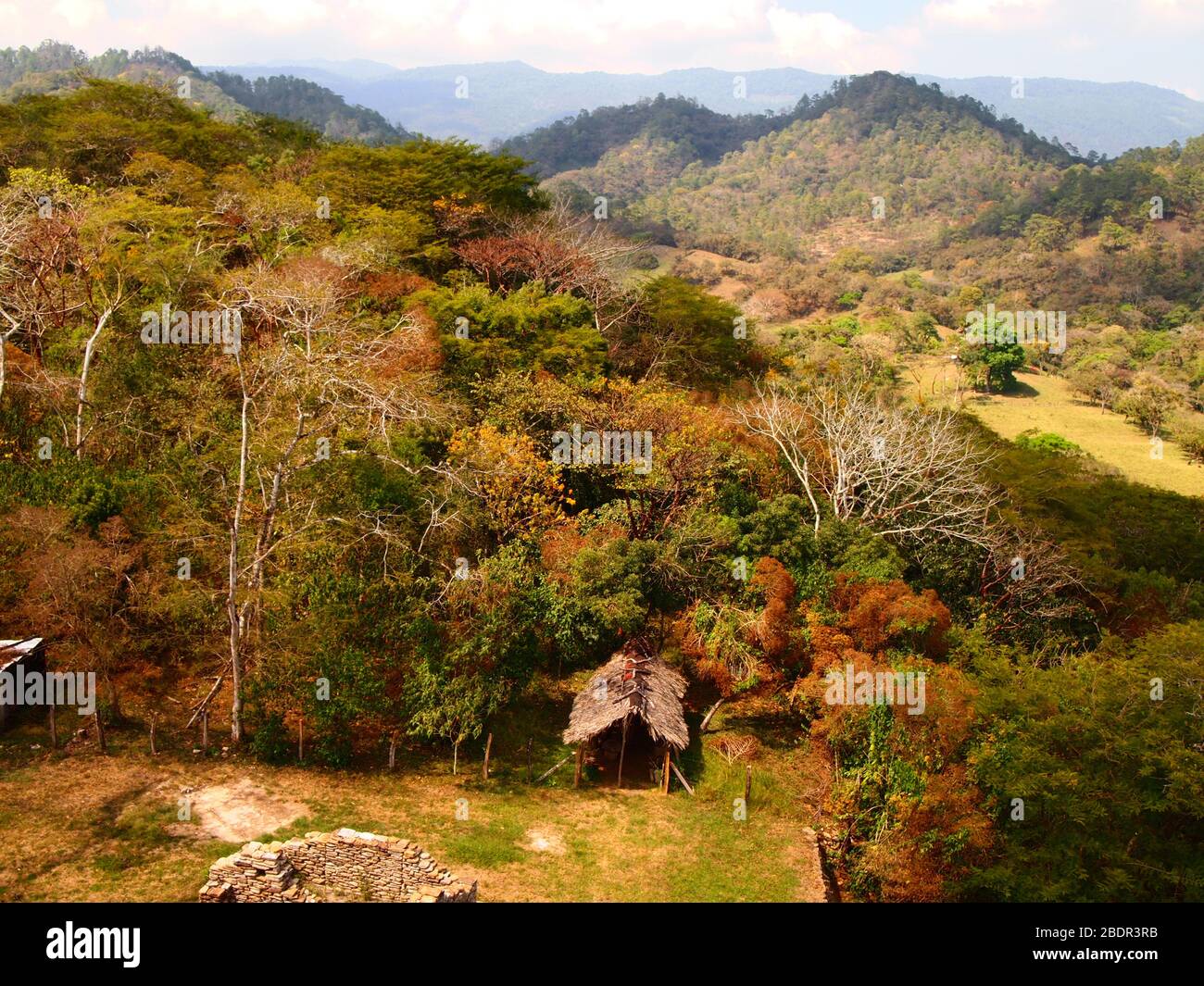 Tropische submontane Wälder in der Nähe der archäologischen Stätte Toniná in Chiapas, im Süden Mexikos Stockfoto