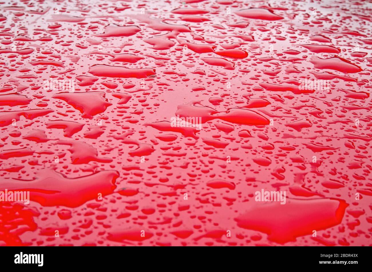 Schließen von Wassertropfen bilden ein abstraktes Muster auf einem starken roten Hintergrund Stockfoto