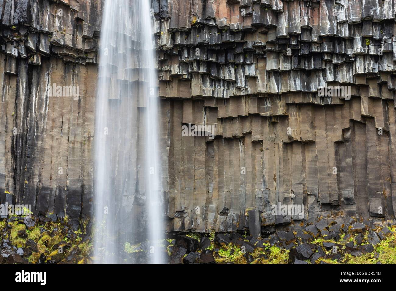 Basault-Säulen am Svartifoss Wasserfall in Island Stockfoto