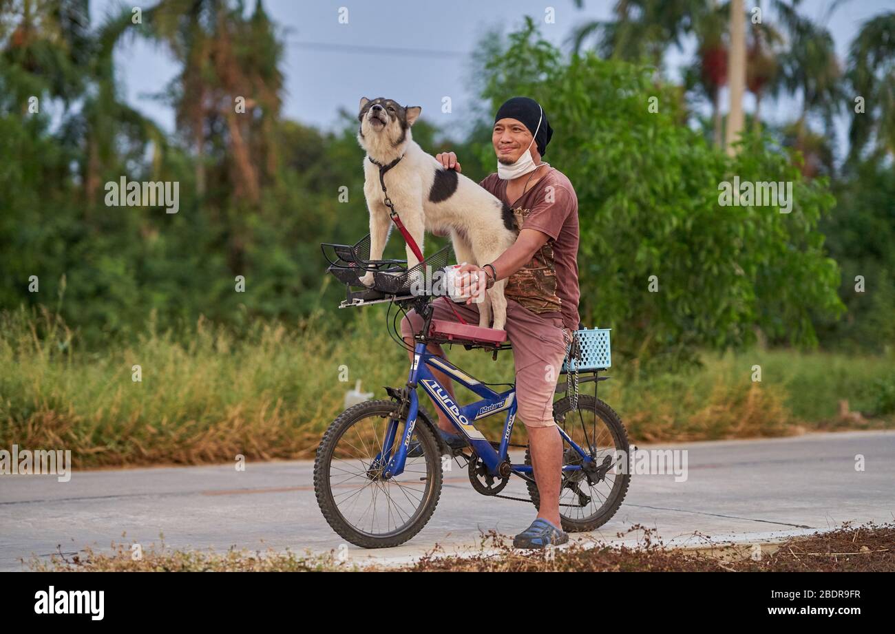 Ein Mann transportiert seinen großen Hund auf seinem Fahrrad. Stockfoto