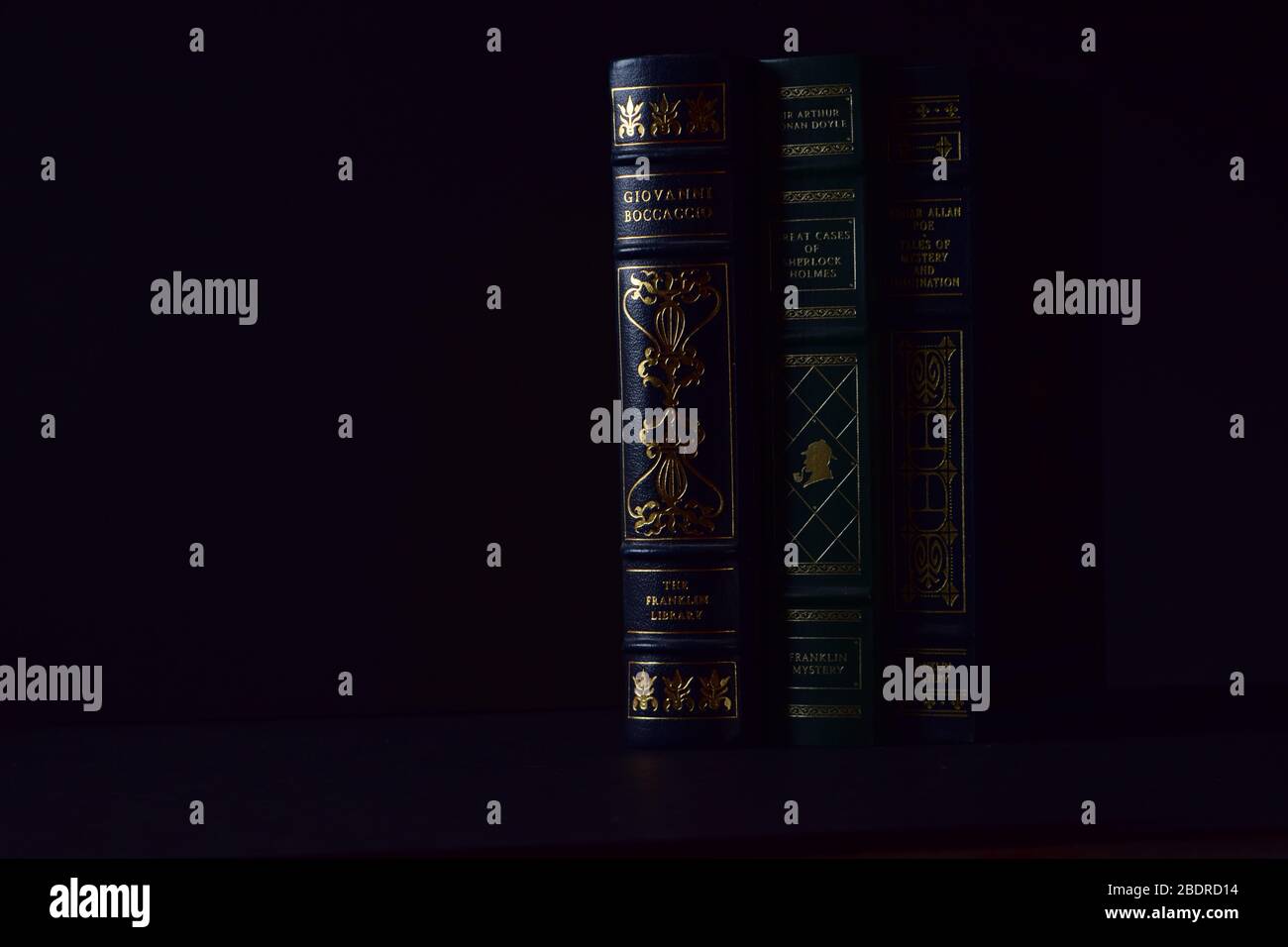 Dekorative Buchdornen mit dunkler Beleuchtung und Hintergrund Stockfoto