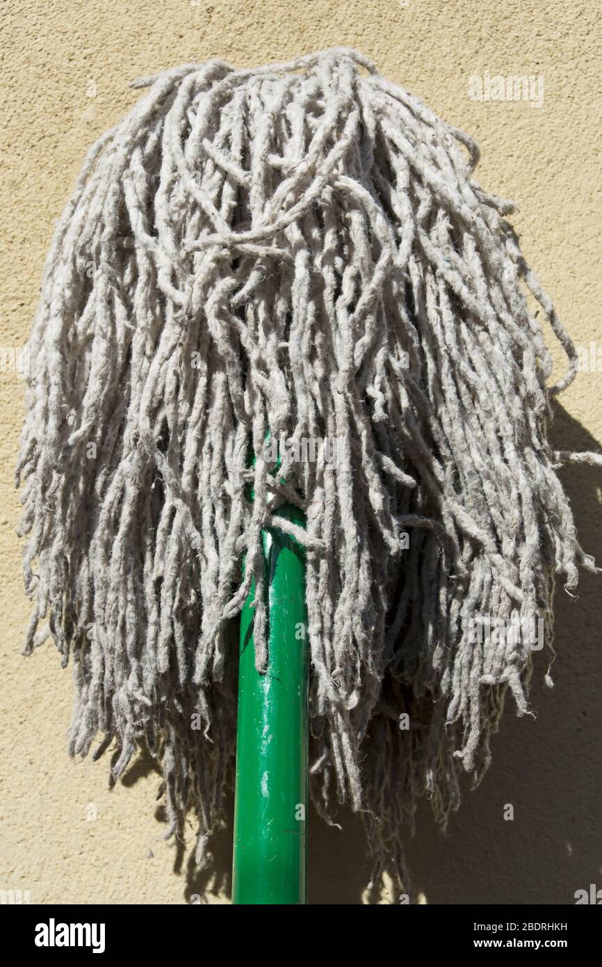 Kopf eines Mops, gedreht auf dem Kopf und trocknend bei Sonnenlicht gegen eine Wand Stockfoto