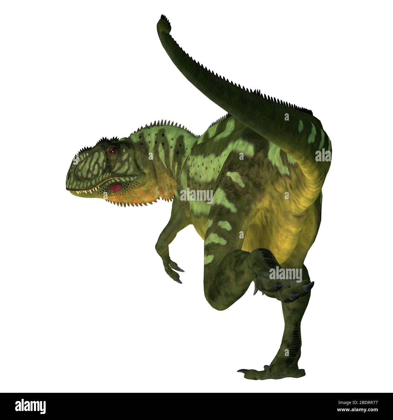 Yangchuanosaurus shangyouensis Fotos und Bildmaterial in hoher