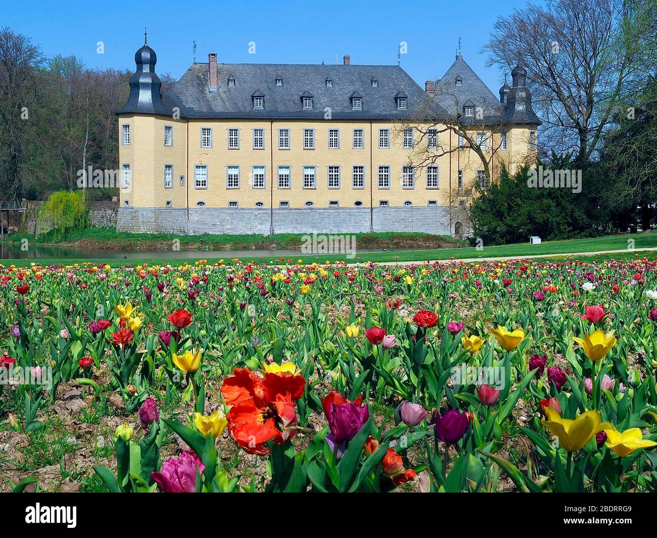 Deutsches Gelbes Wasserschloss Schloss Dyck im Frühling Stockfoto