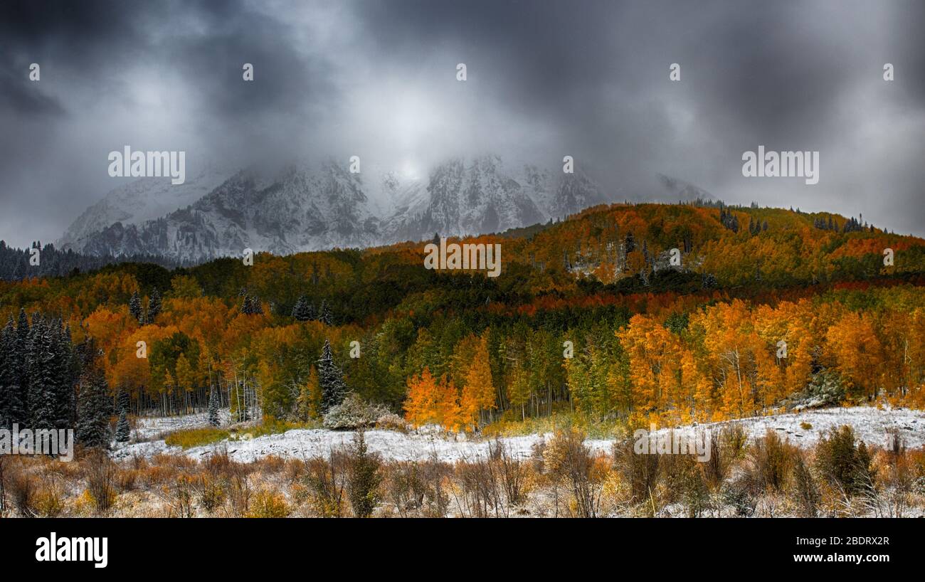 Herbstfarben auf dem Kebler Pass Colorado Stockfoto