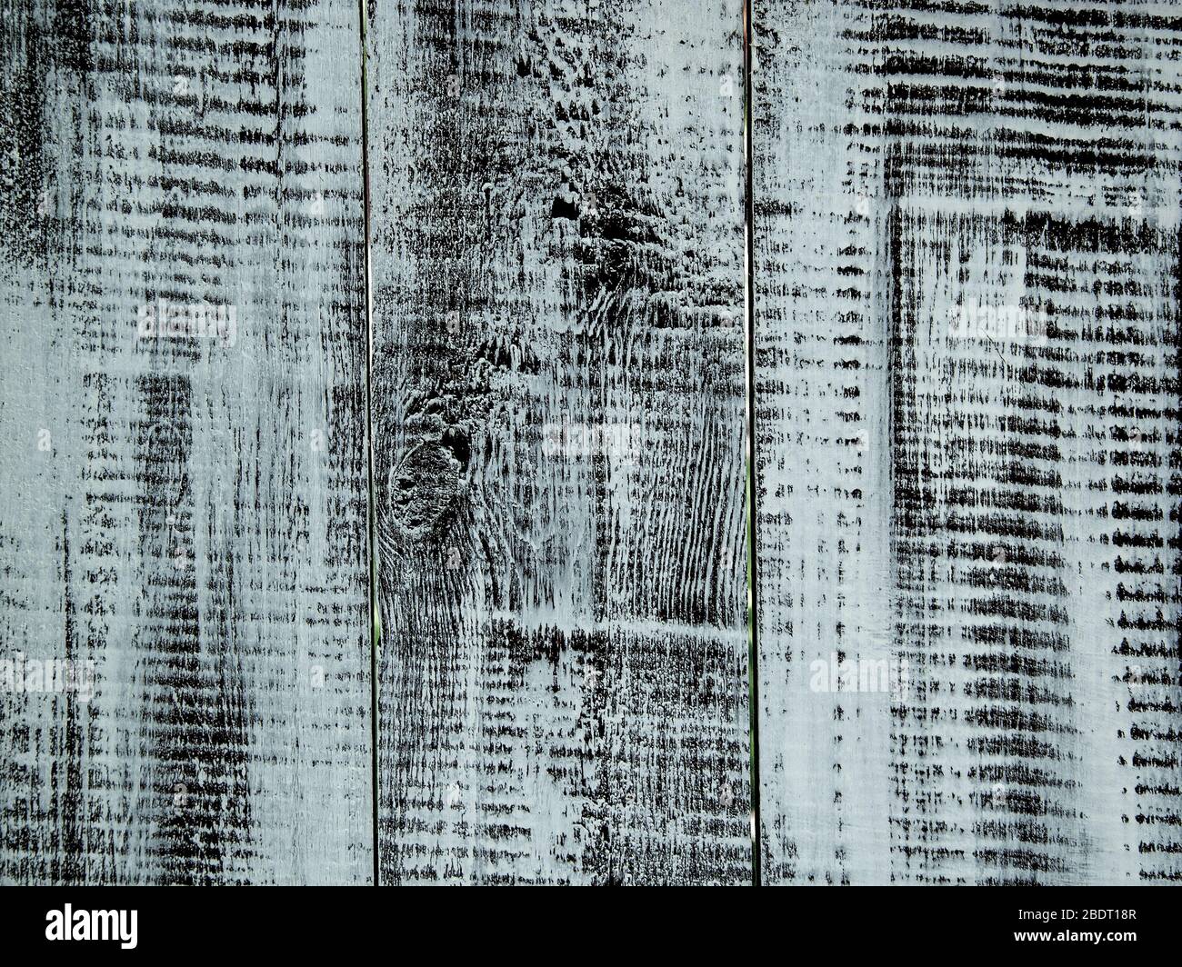 Die Textur der Holzbretter. Der Hintergrund ist schwarz-weiß mit bläulichem Ton. Stockfoto
