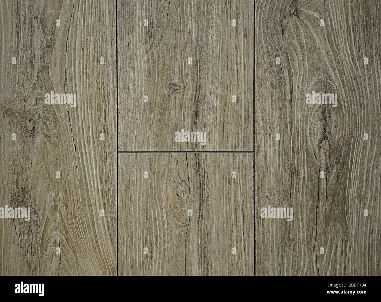 Die Textur von natürlichem Holz. Grauer Hintergrund, mit Wellen der Struktur und dunklem Filament. Brett für Boden. Stockfoto