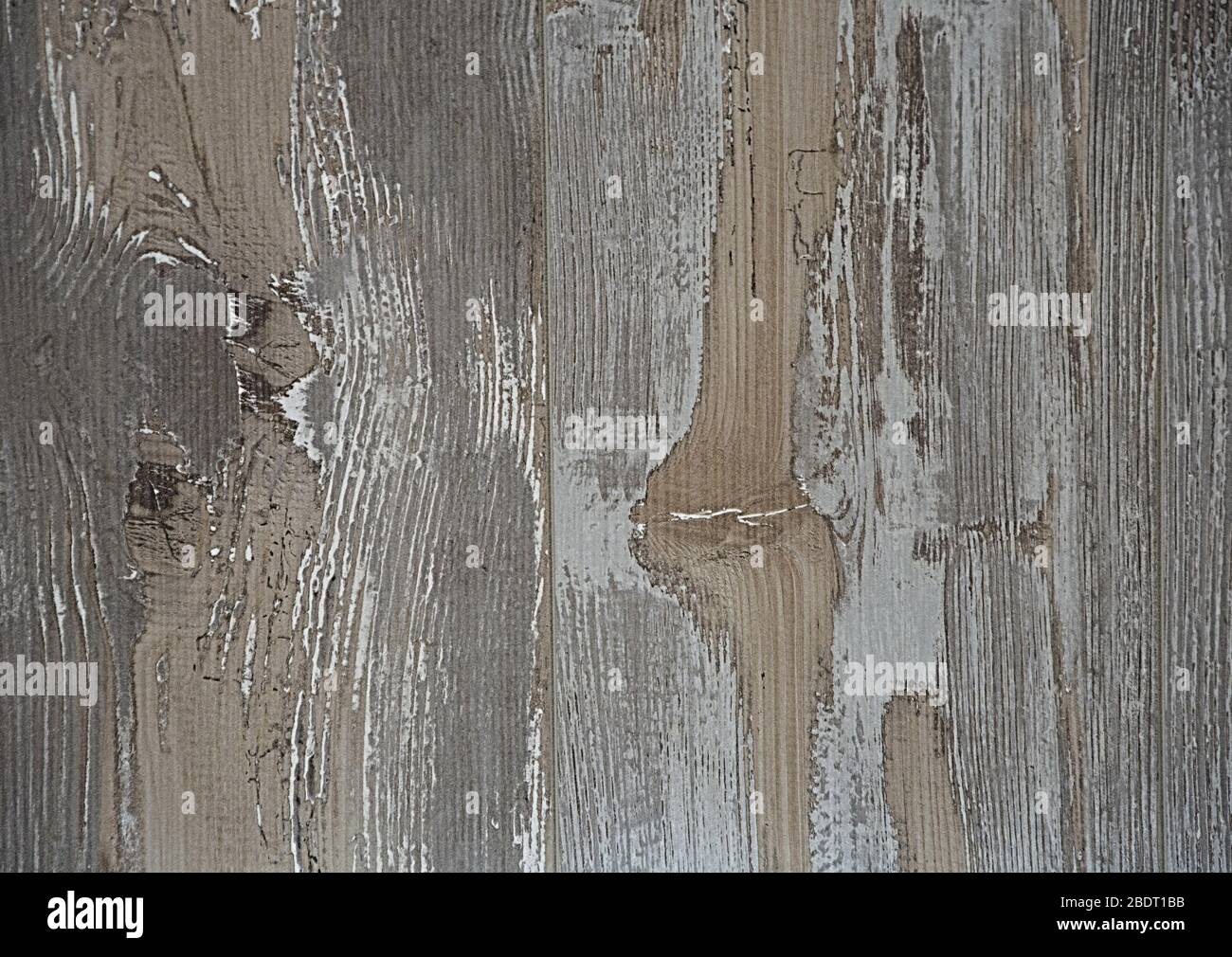 Die Textur des alten Holzes. Imitation Grau und Naturholz Hintergrund mit Knoten. Stockfoto