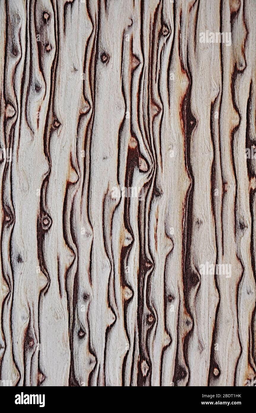 Holzstruktur. Furnier. Wellenhintergrund in weiß mit braunen Tropfen. Stockfoto
