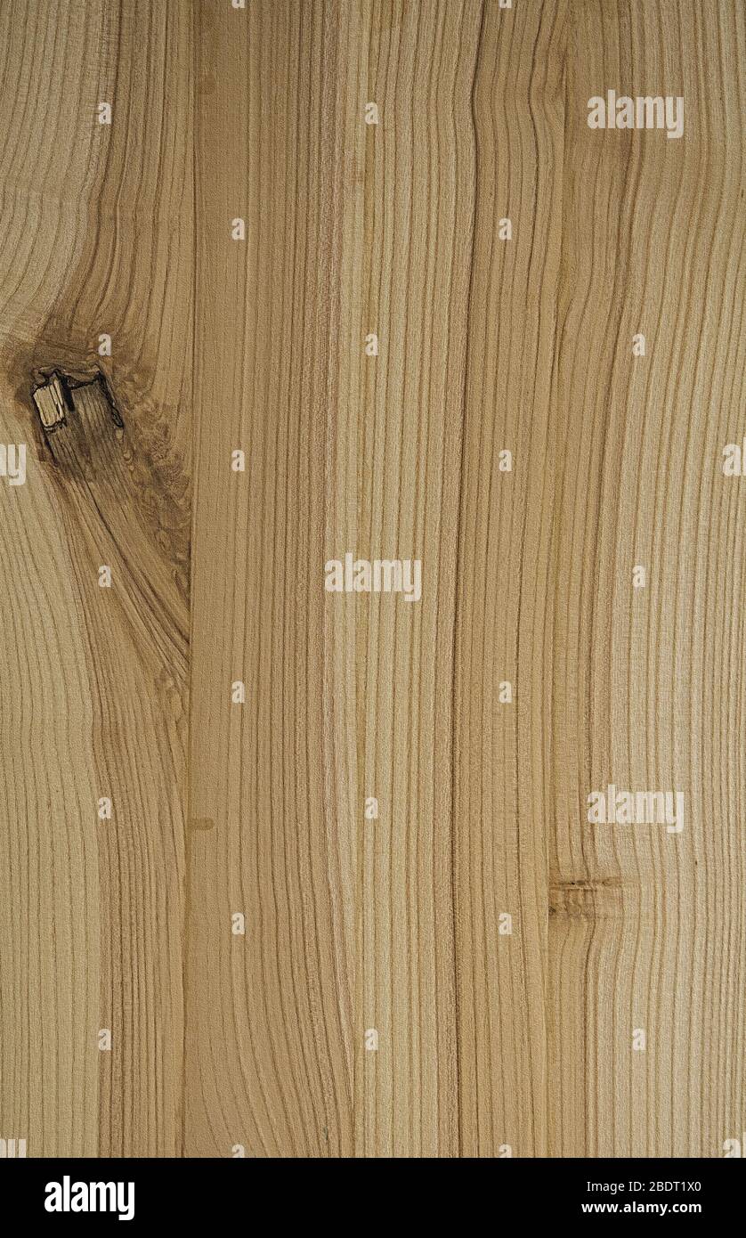 Die Texturen der Holzplatte. Braun mit grünlichem Hintergrund, mit einem großen Knoten. Beschädigtes Holz. Stockfoto