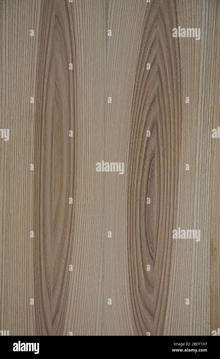 Holzstruktur.die Linien befinden sich in einer Ellipse auf einem grauen Hintergrund. Stockfoto