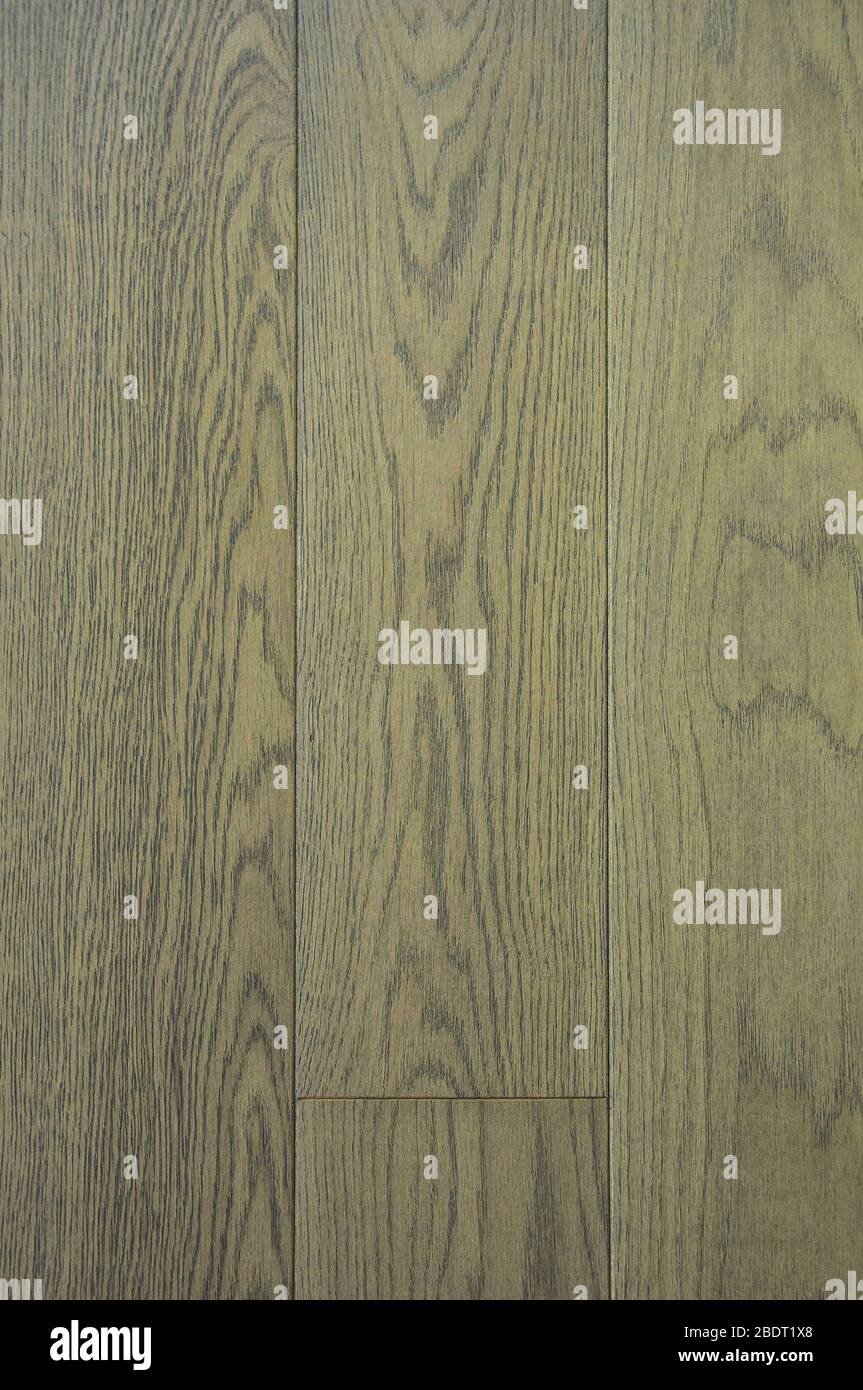 Holzstruktur, auf grünem Hintergrund. Dunkle Streifen von Jahresringen. Stockfoto