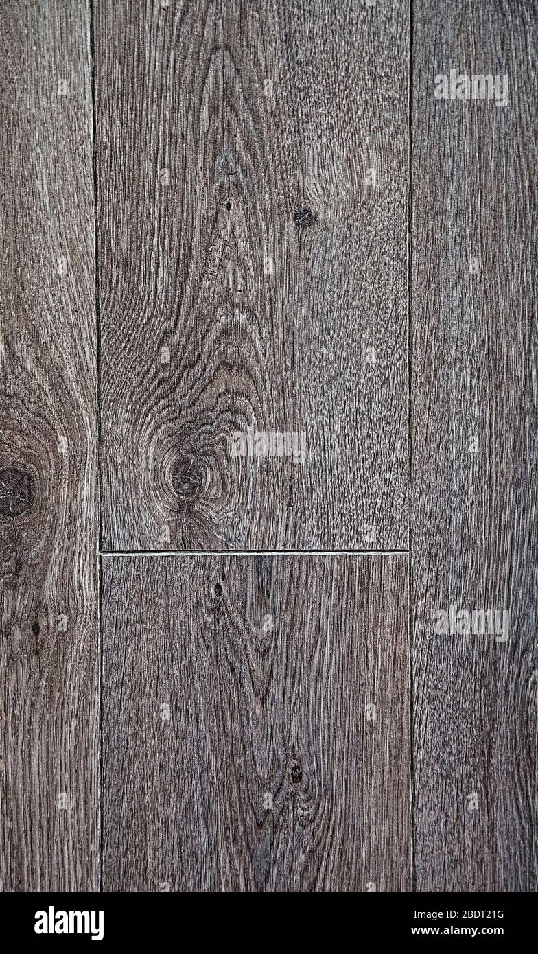 Die Textur von natürlichem Holz. Brauner und grauer Hintergrund. Schöne Jahresringe von elliptischer Form. Strukturierter Hintergrund des Boards. Stockfoto