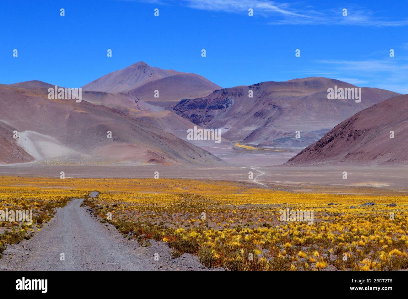 Übersicht über den Eingang zur Quebrada del Agua, Socompa, Salta, Argentinien Stockfoto