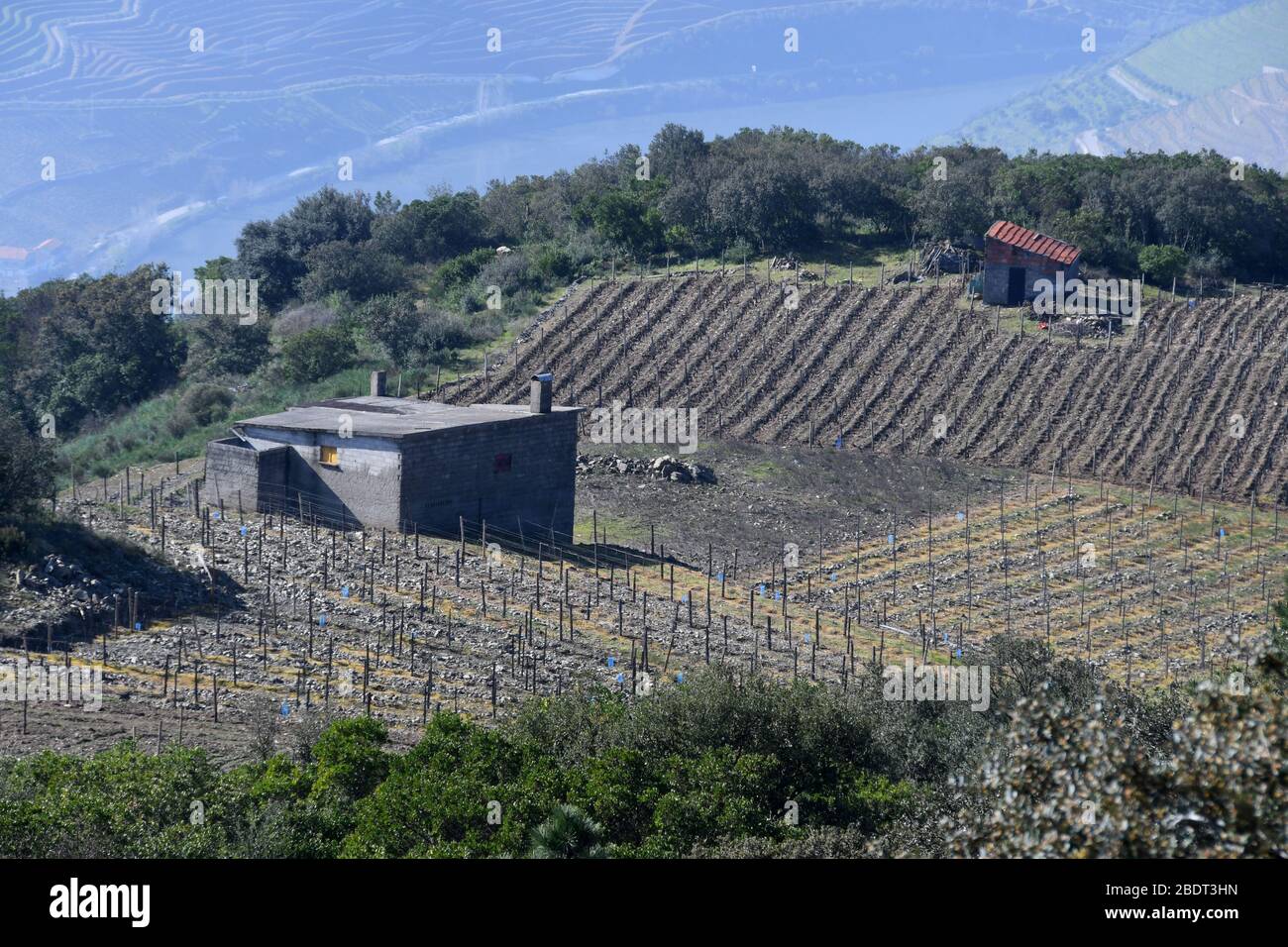 Peso da Régua, Portugal. März 2020. Miradouro SÃ£o Leonardo de Galafura zwischen Régua und PinhÃ£o, Portugal, bietet einen atemberaubenden Blick auf die Landschaft im Tal des Flusses Douro, einschließlich der Weinberge. Am 7. März 2020 ist es ein beliebter Haltepunkt und Aussichtspunkt für Mountainbikes. Credit: Mark Hertzberg/ZUMA Wire/Alamy Live News Stockfoto