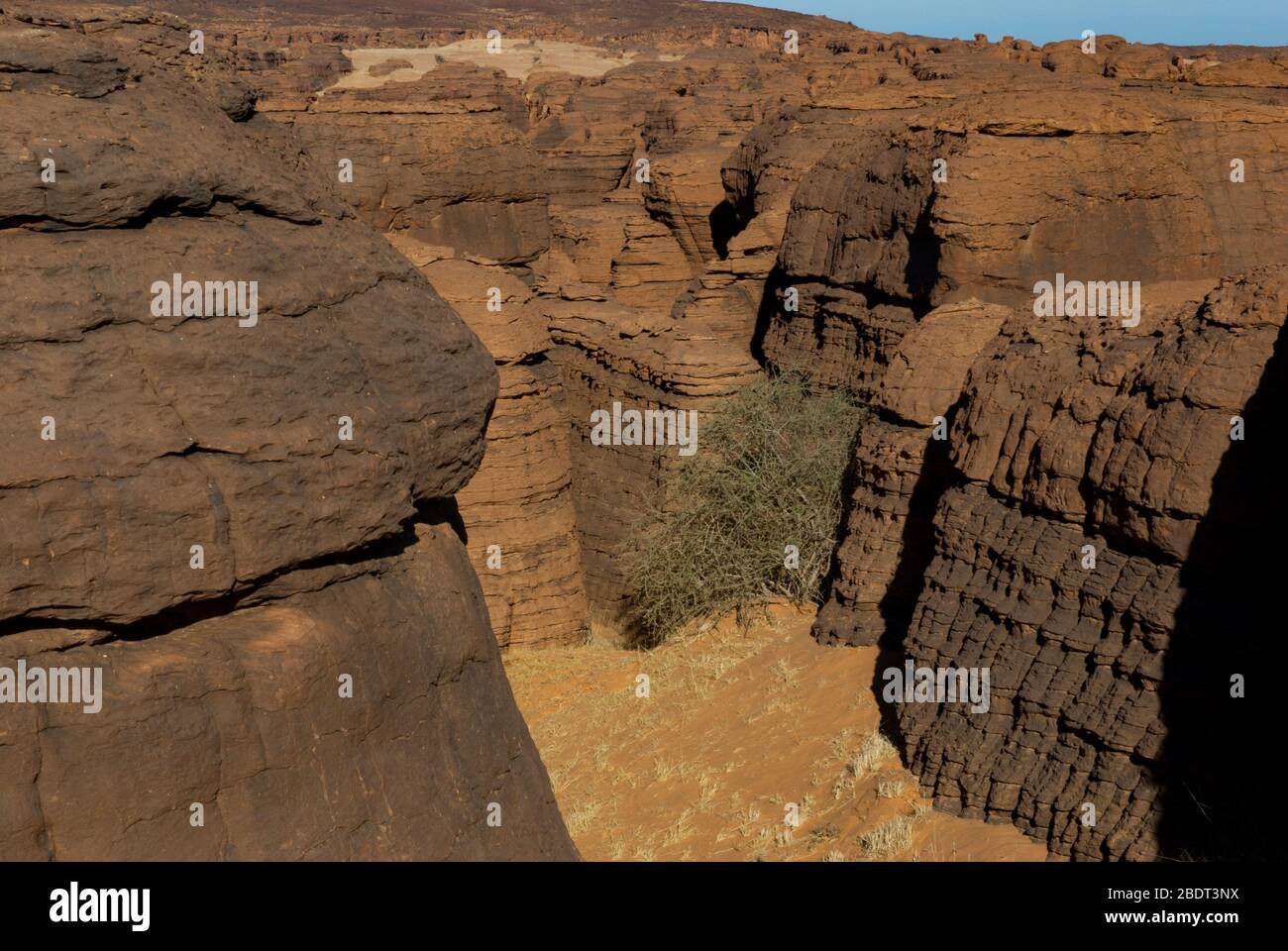 Labyrith der Felsformation d'Oyo in Ennedi Plateau auf Sahara Dessert, Tschad, Afrika. Stockfoto